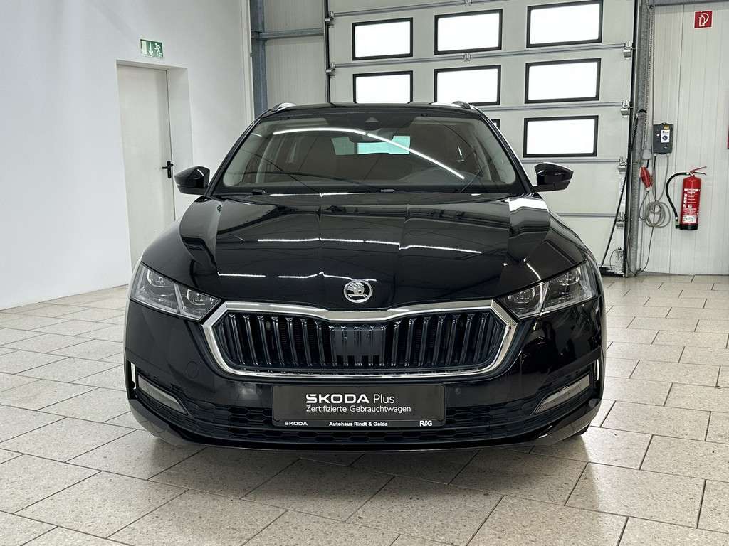 Fahrzeugbild eines Skoda Octavia