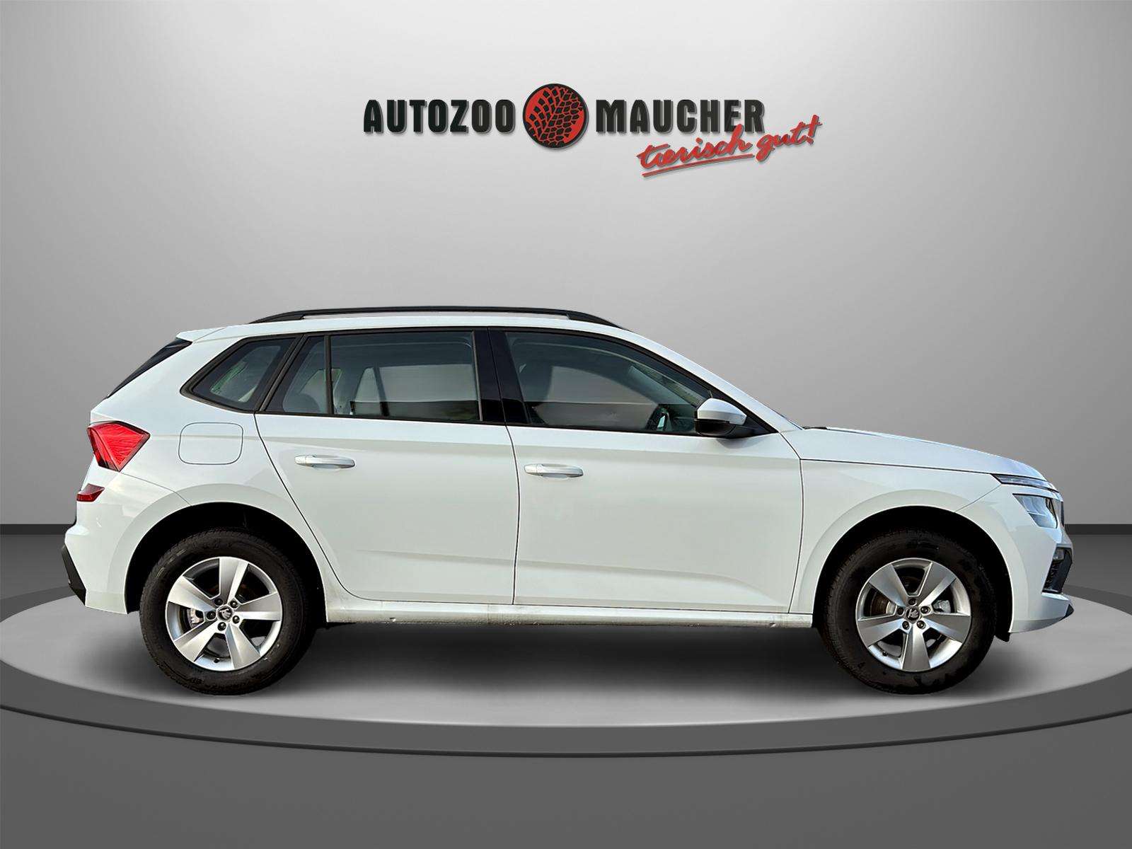 Fahrzeugbild eines Skoda Kamiq