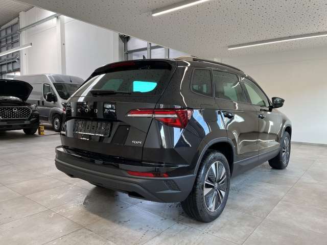 Fahrzeugbild eines Skoda Karoq