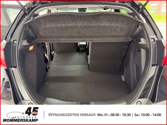 Fahrzeugbild eines Honda Jazz