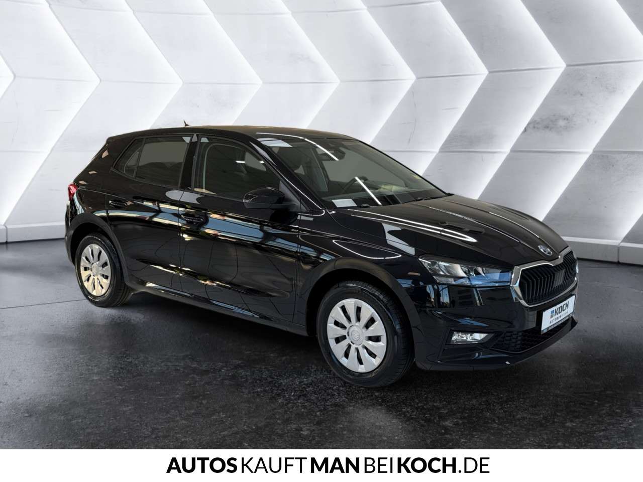 Fahrzeugbild eines Skoda Fabia