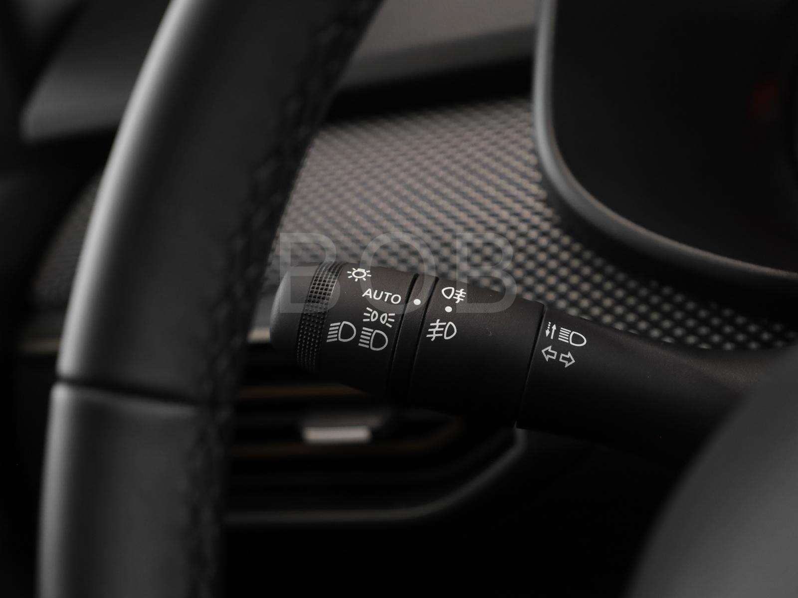 Fahrzeugbild eines Dacia Sandero