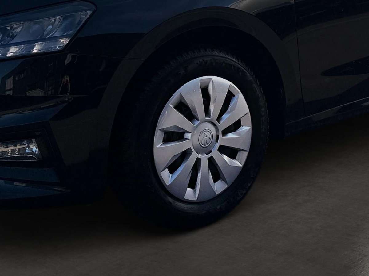 Fahrzeugbild eines Skoda Fabia
