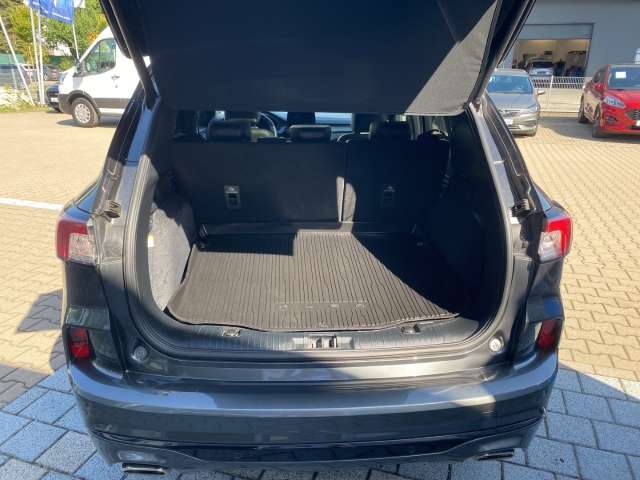 Fahrzeugbild eines Ford Kuga