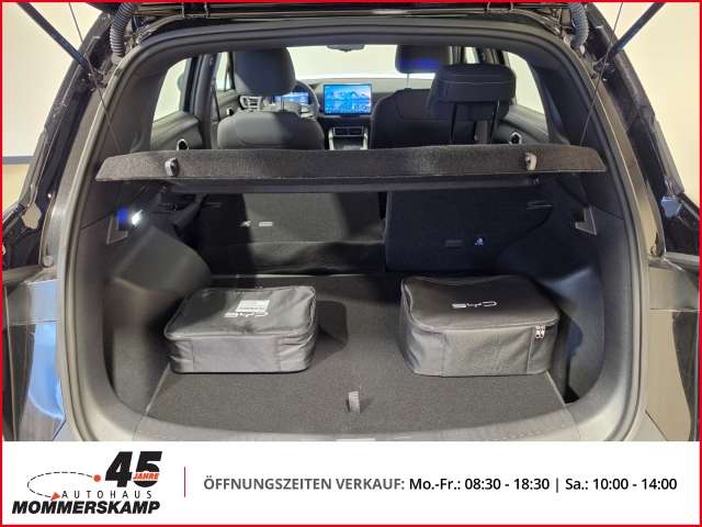 Fahrzeugbild eines BYD Atto 2