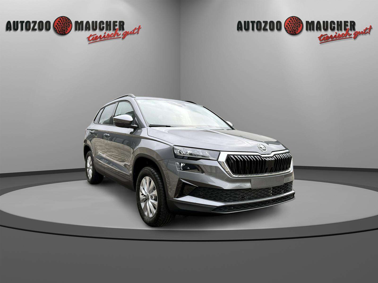 Fahrzeugbild eines Skoda Karoq