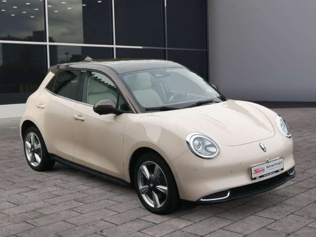 Fahrzeugbild eines GWM Ora 03