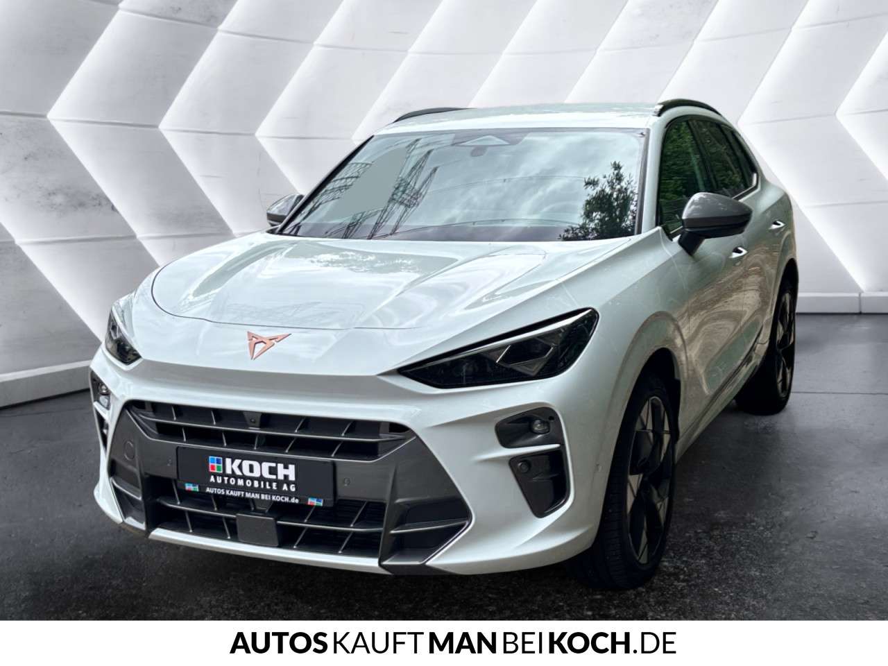 Fahrzeugbild eines CUPRA Terramar