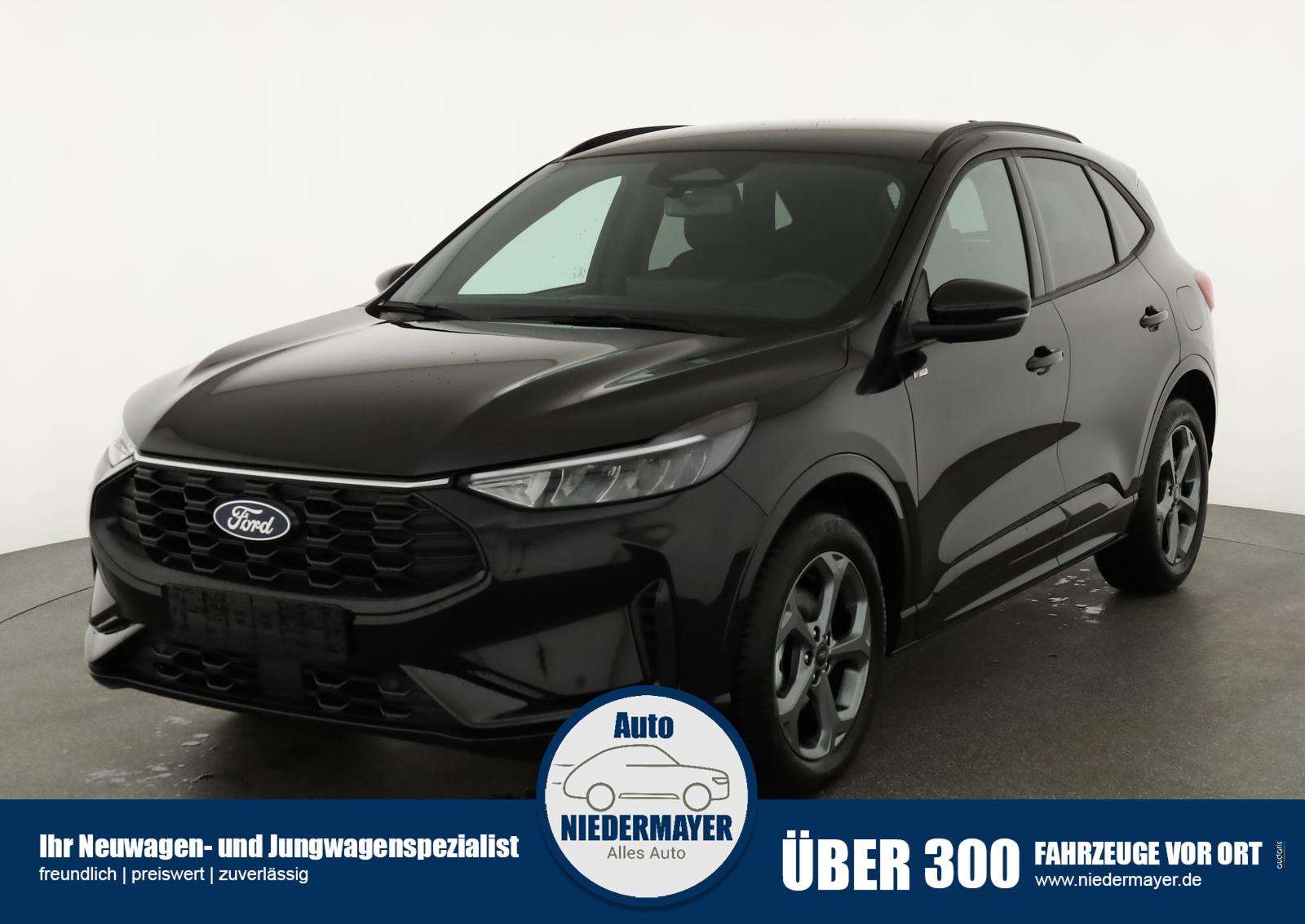 Fahrzeugbild eines Ford Kuga
