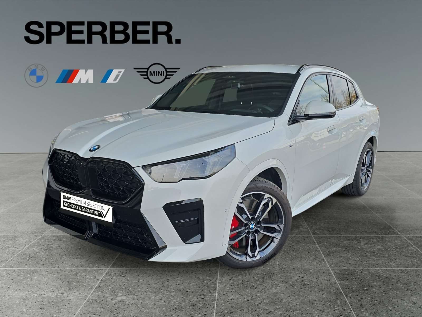 Fahrzeugbild eines BMW X2