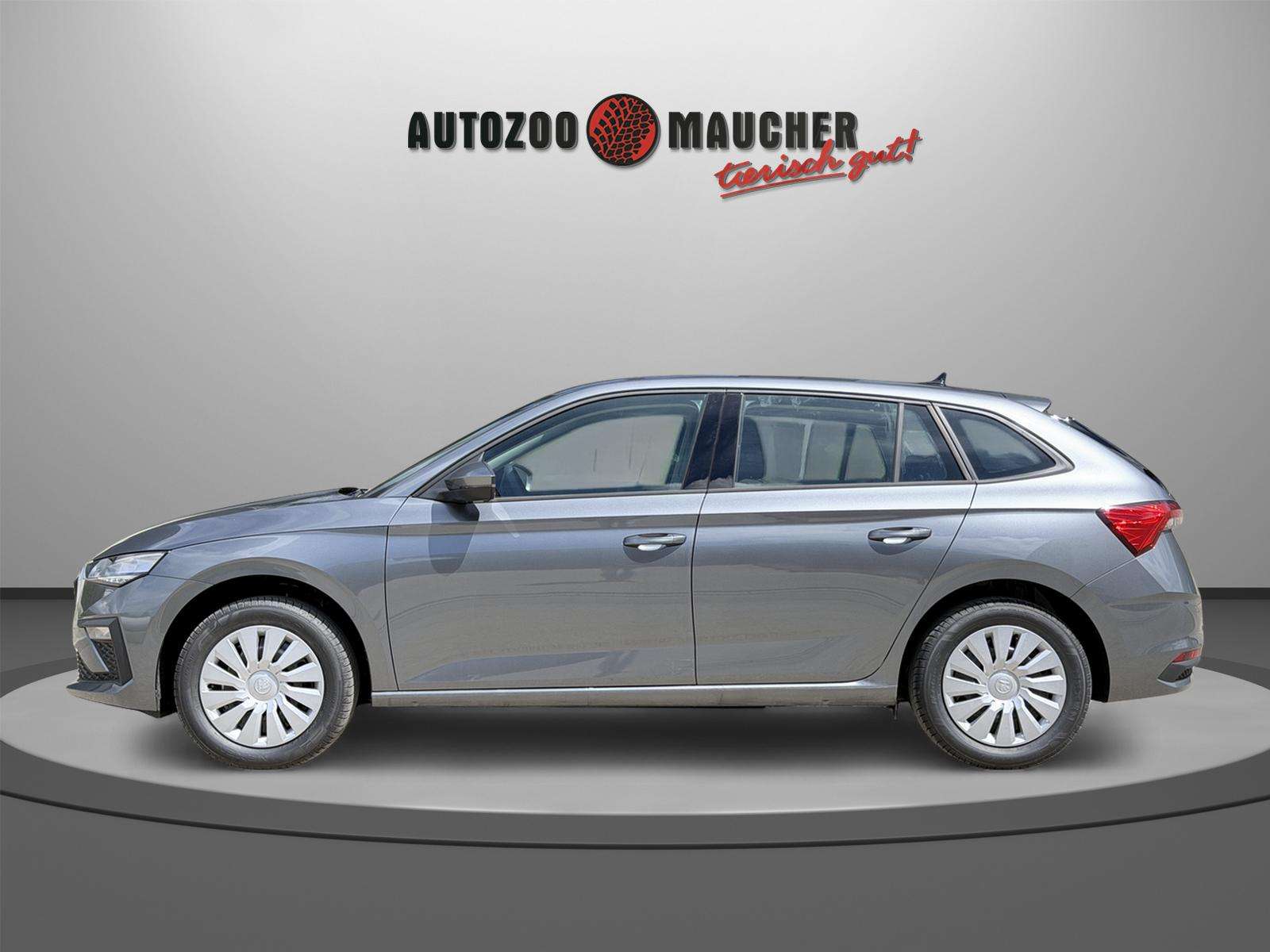 Fahrzeugbild eines Skoda Scala