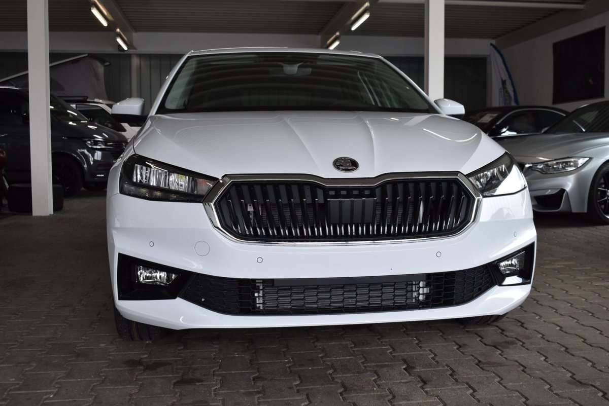 Fahrzeugbild eines Skoda Fabia