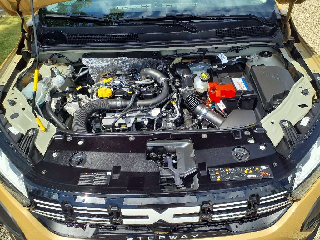 Fahrzeugbild eines Dacia Sandero