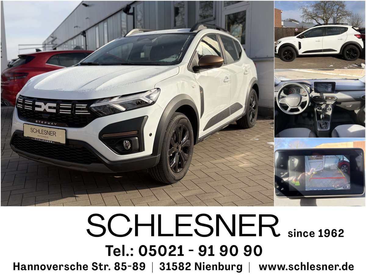 Fahrzeugbild eines Dacia Sandero