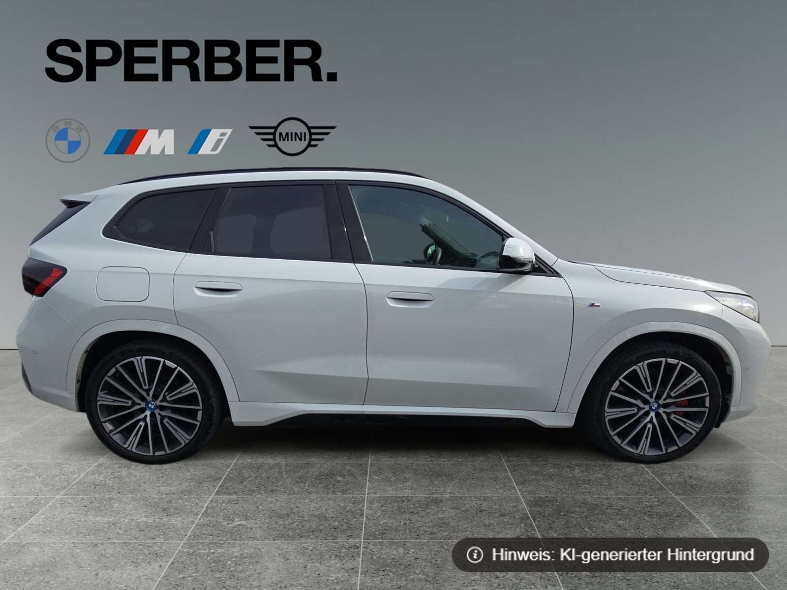 Fahrzeugbild eines BMW iX1