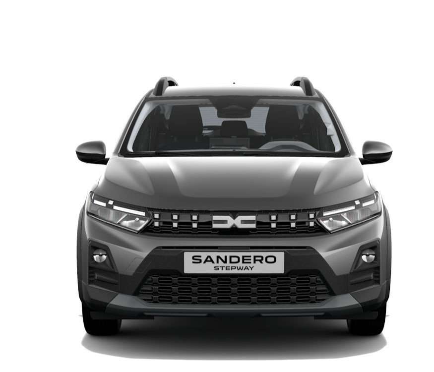 Fahrzeugbild eines Dacia Sandero