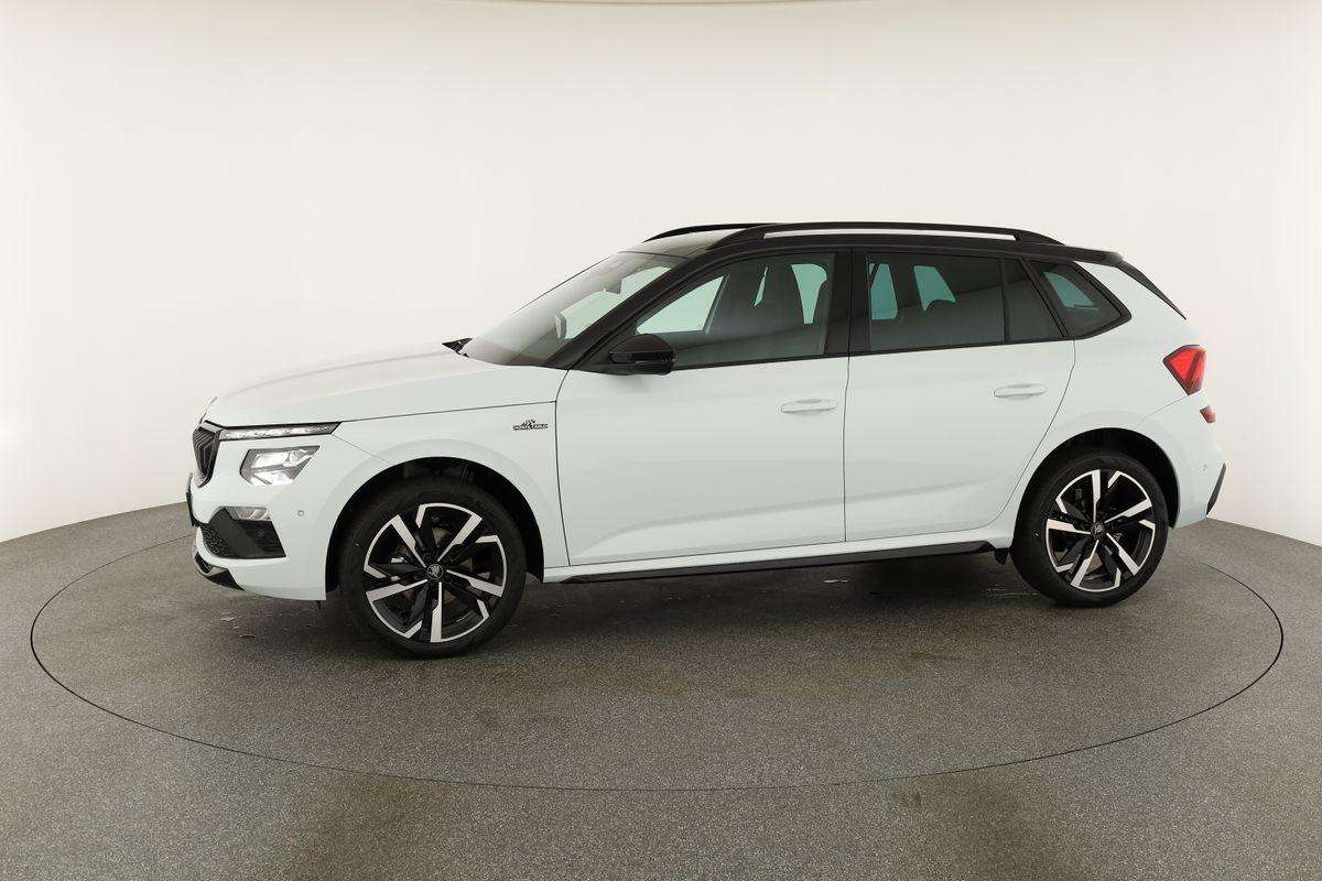 Fahrzeugbild eines Skoda Kamiq