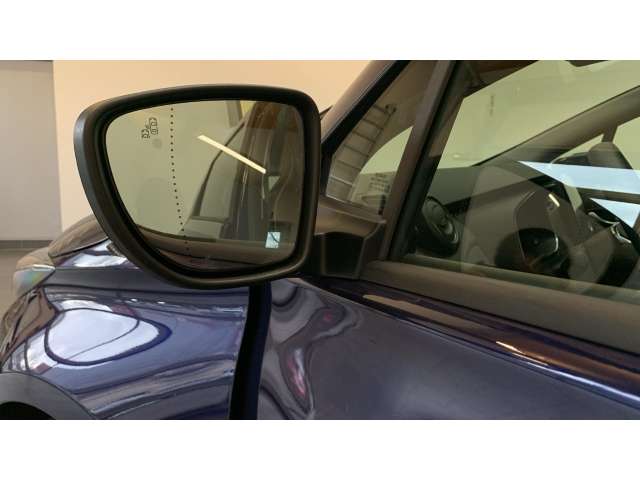 Fahrzeugbild eines Renault ZOE