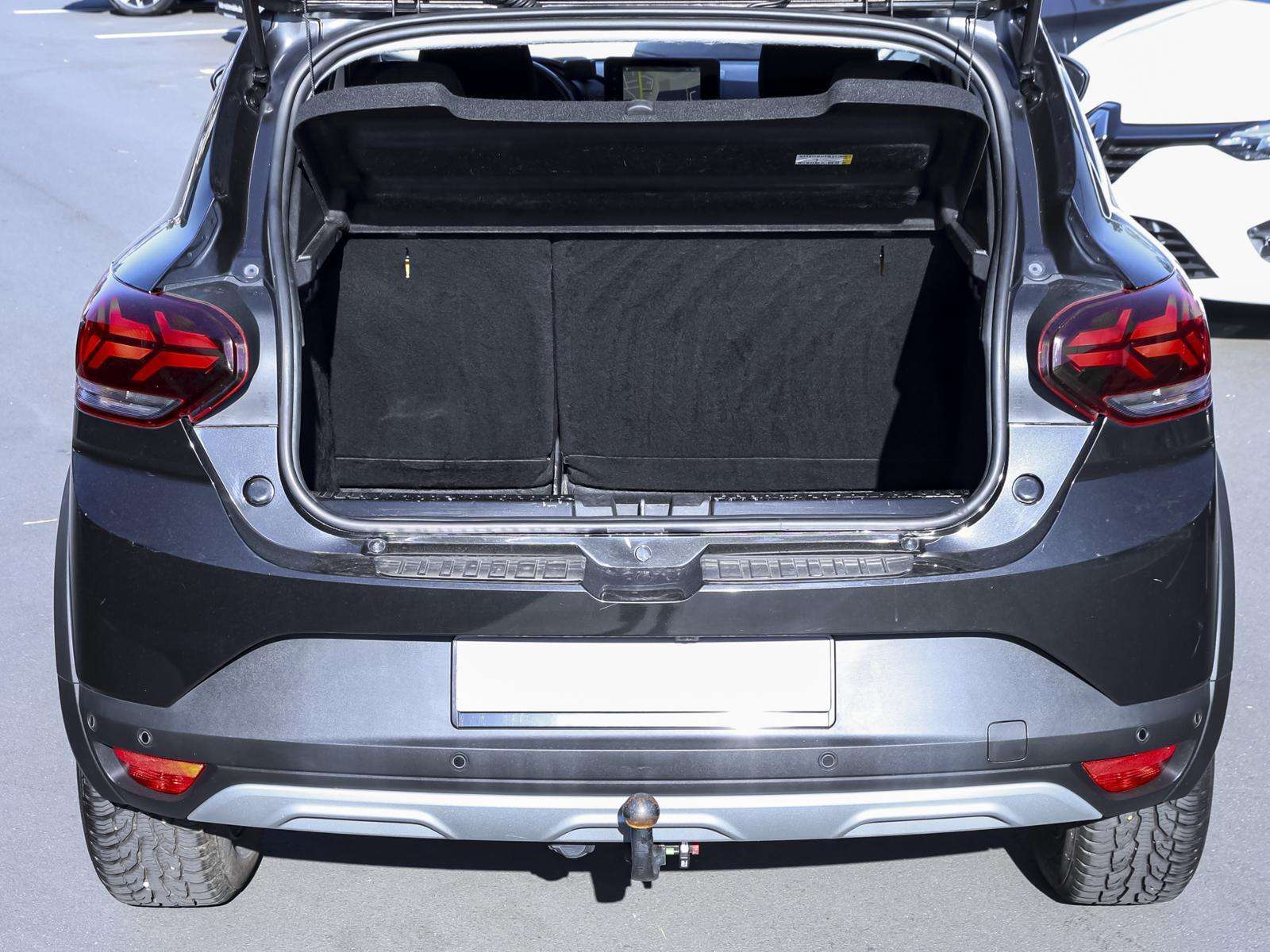 Fahrzeugbild eines Dacia Sandero