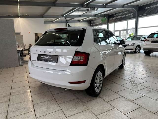 Fahrzeugbild eines Skoda Fabia