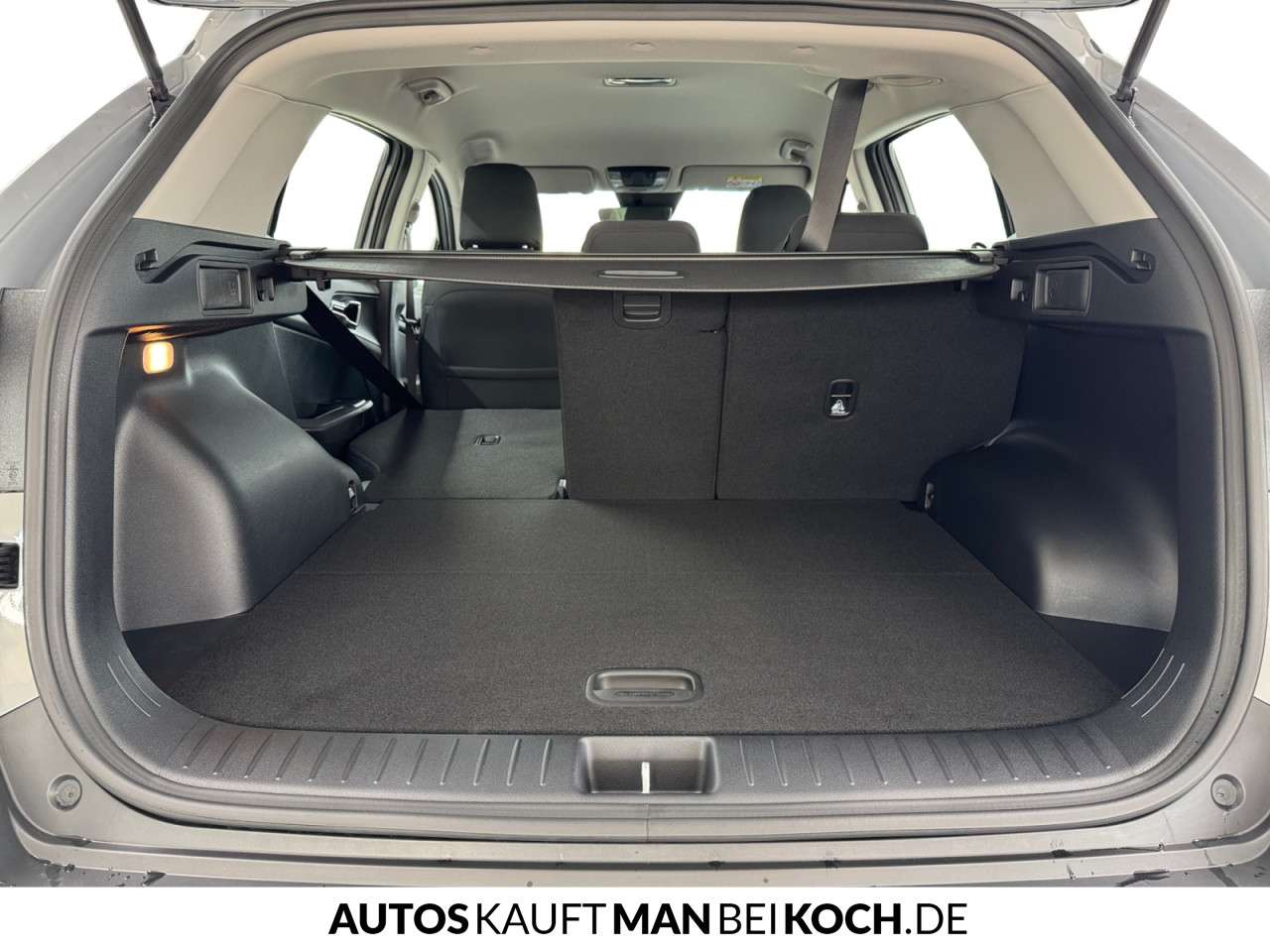 Fahrzeugbild eines Kia Sportage