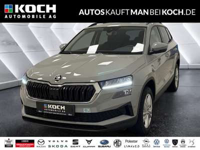 Bild Skoda Karoq