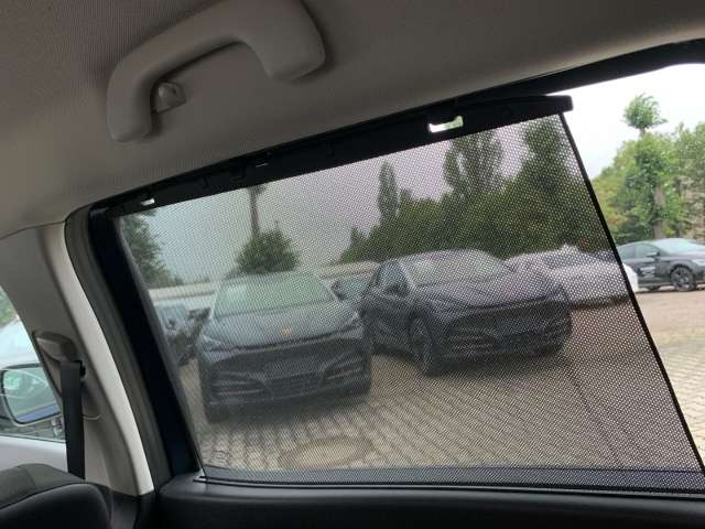 Fahrzeugbild eines Renault Grand Scénic
