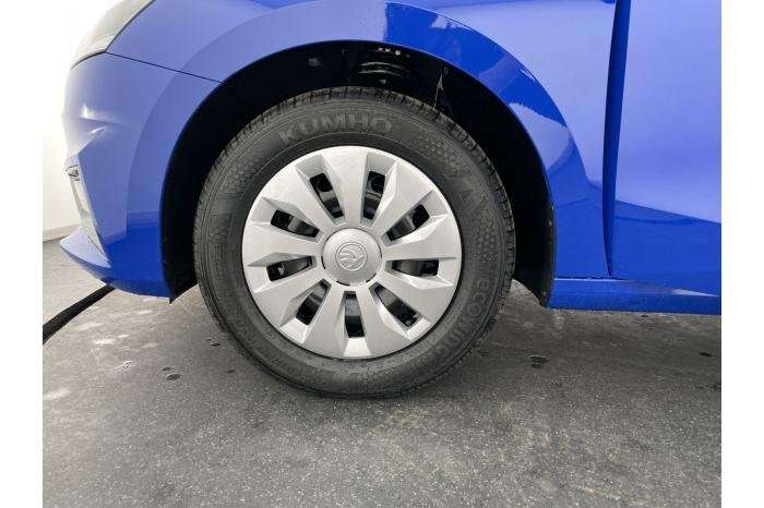 Fahrzeugbild eines Skoda Fabia