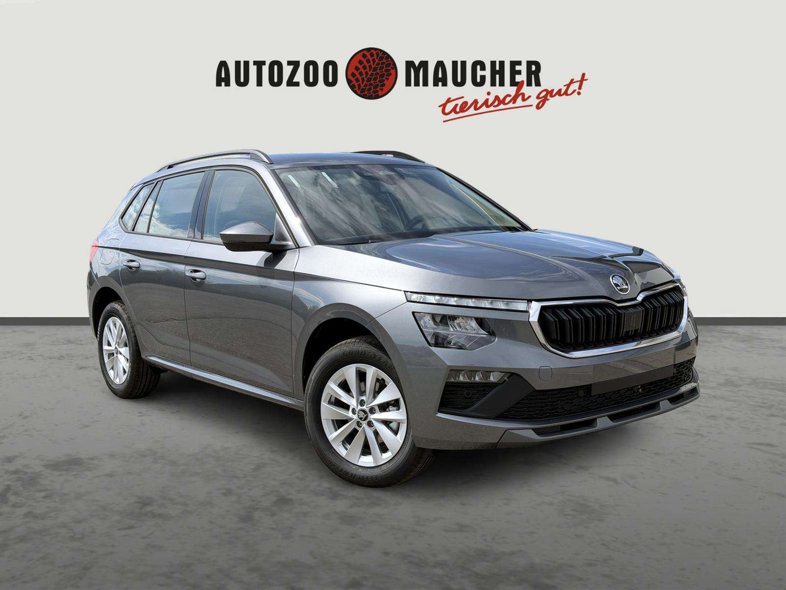 Fahrzeugbild eines Skoda Kamiq