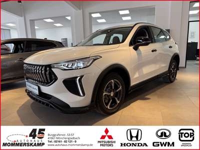 Bild GWM Haval Jolion Pro