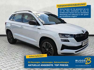 Bild Skoda Karoq