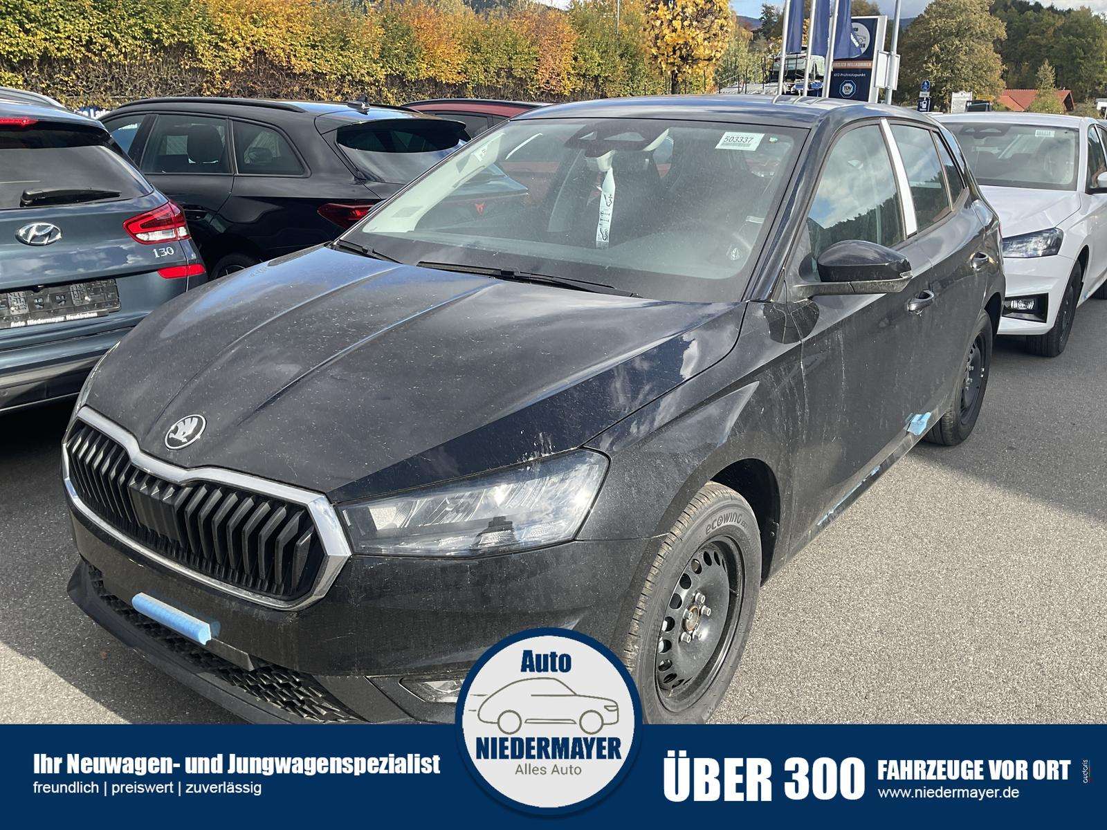 Fahrzeugbild eines Skoda Fabia
