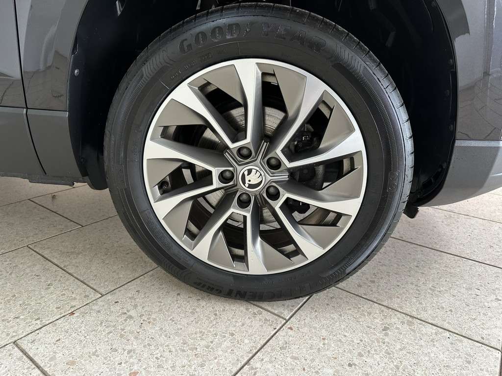 Fahrzeugbild eines Skoda Karoq
