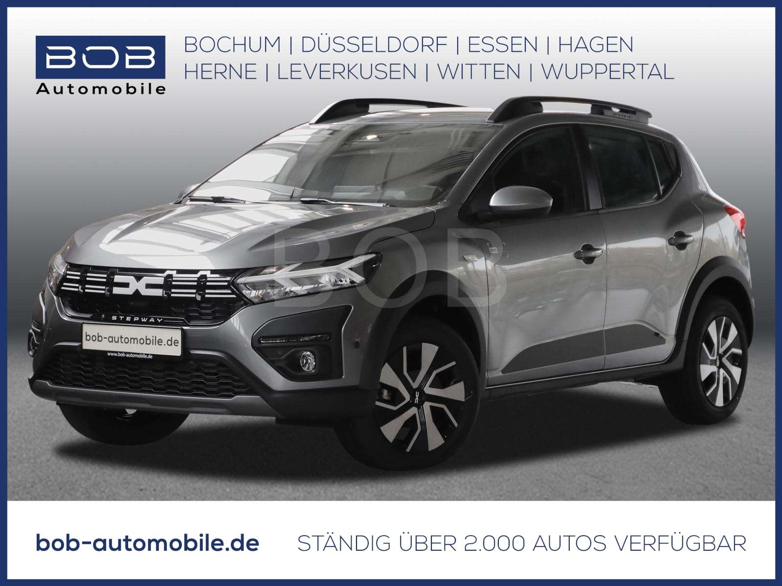 Fahrzeugbild eines Dacia Sandero