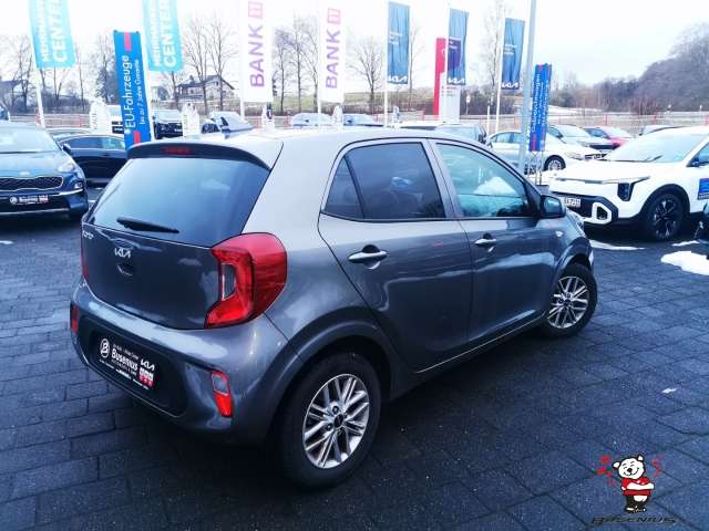 Fahrzeugbild eines Kia Picanto