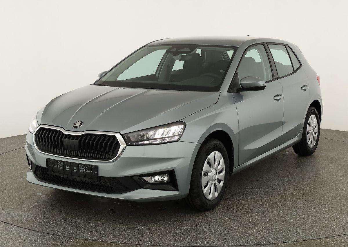 Fahrzeugbild eines Skoda Fabia