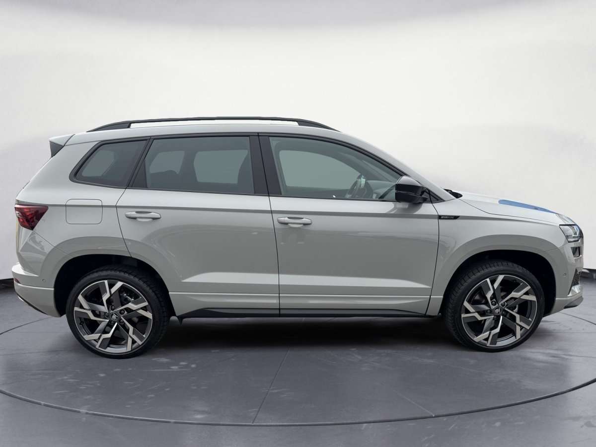 Fahrzeugbild eines Skoda Karoq