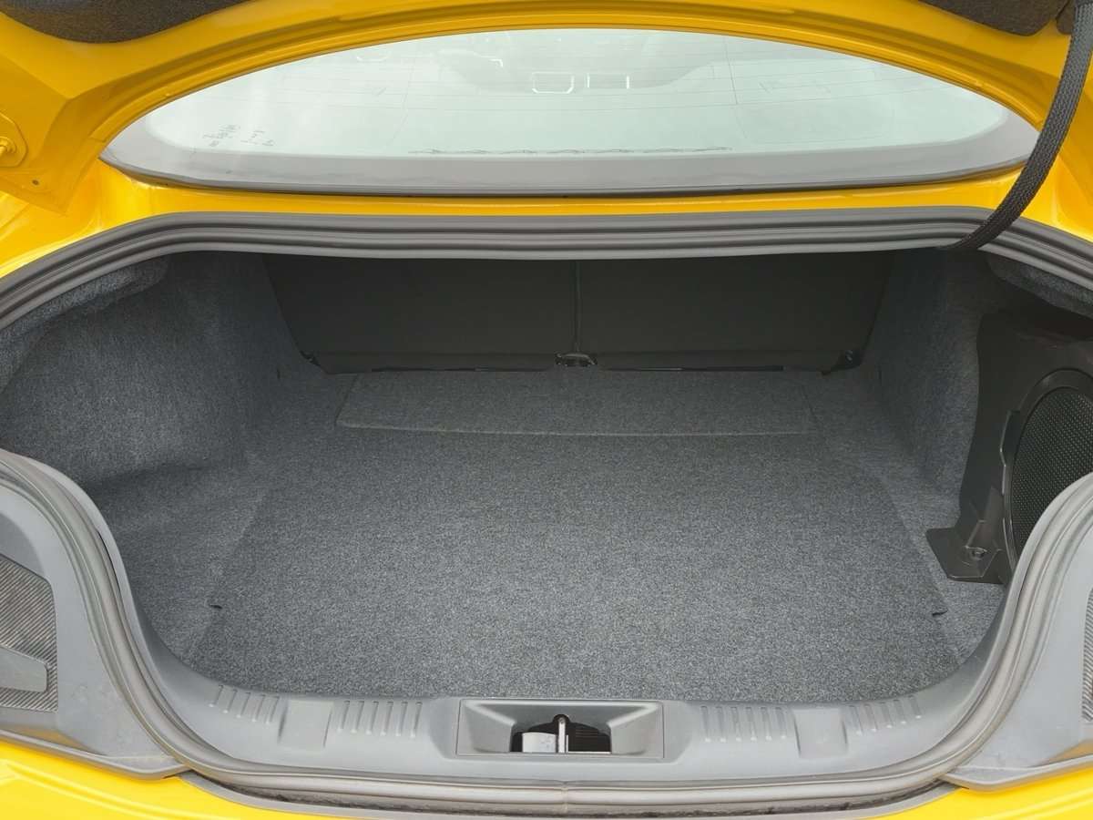 Fahrzeugbild eines Ford Mustang