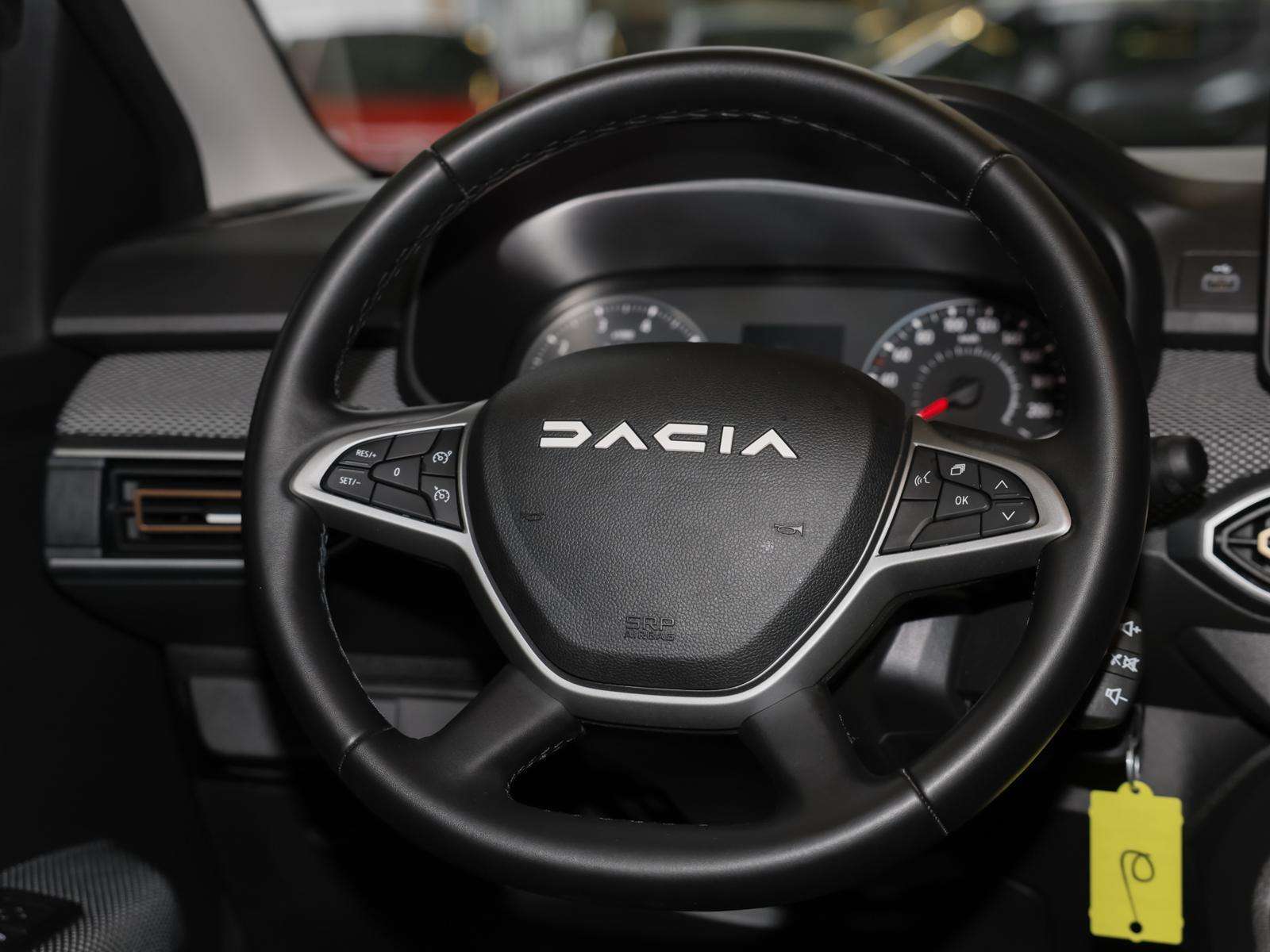 Fahrzeugbild eines Dacia Sandero