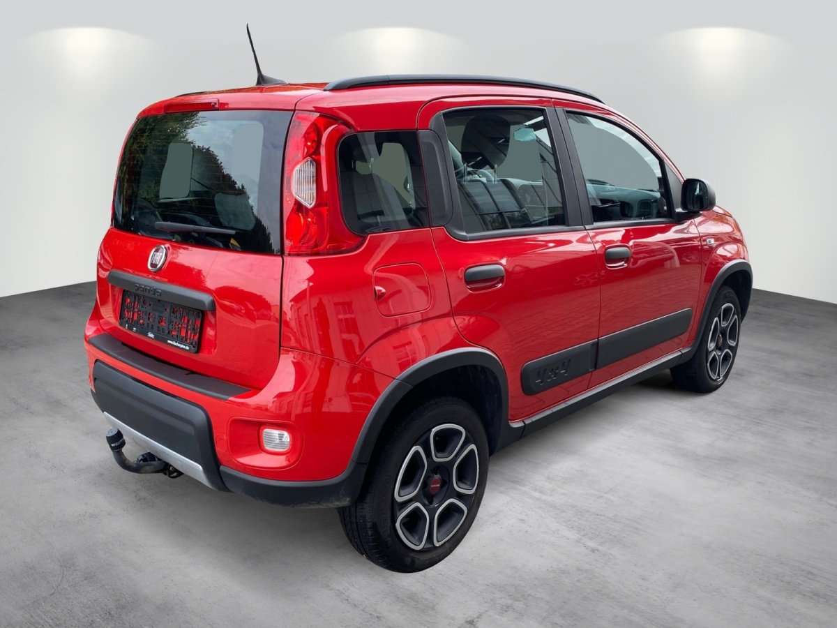 Fahrzeugbild eines Fiat Panda