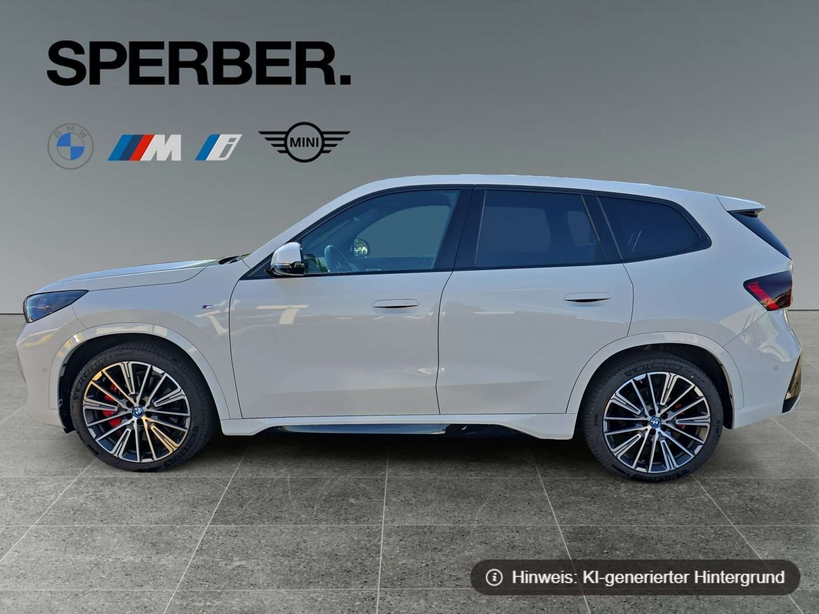 Fahrzeugbild eines BMW iX1