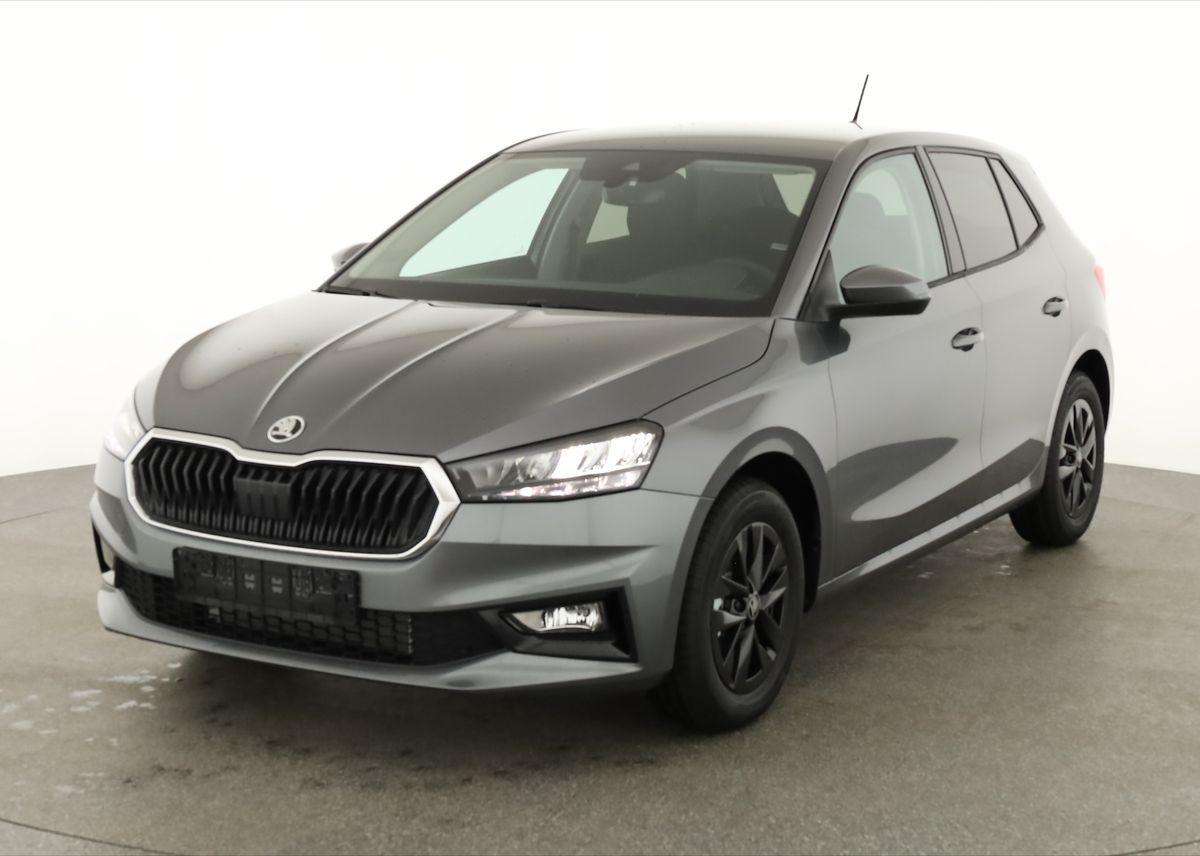 Fahrzeugbild eines Skoda Fabia