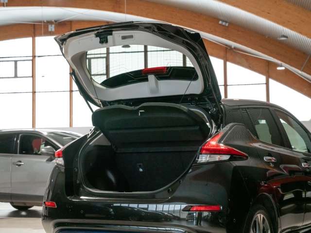 Fahrzeugbild eines Nissan Leaf