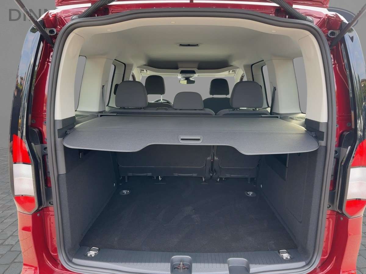 Fahrzeugbild eines Ford Tourneo Connect