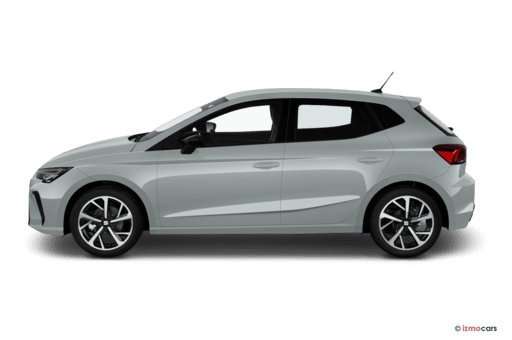 Fahrzeugbild eines SEAT Ibiza
