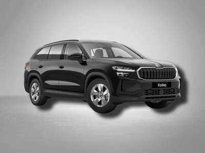 Bild Skoda Kodiaq