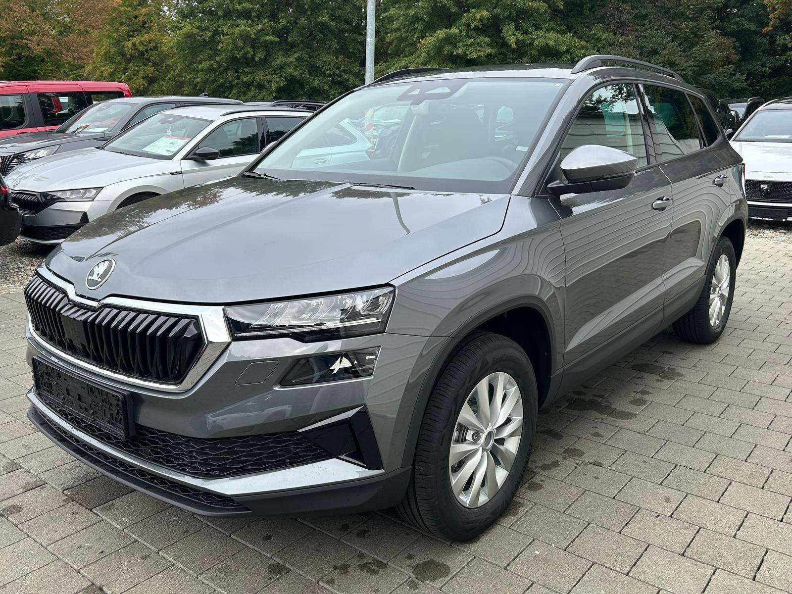 Fahrzeugbild eines Skoda Karoq