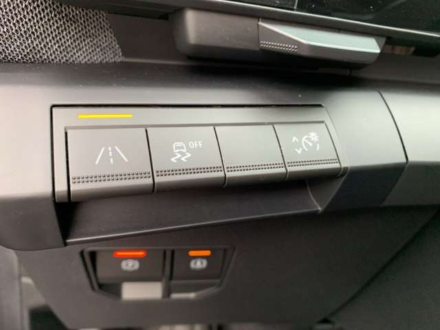 Fahrzeugbild eines Renault Megane E-TECH