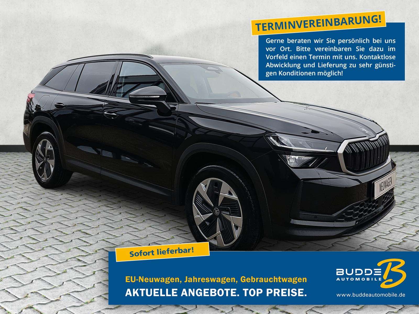 Fahrzeugbild eines Skoda Kodiaq