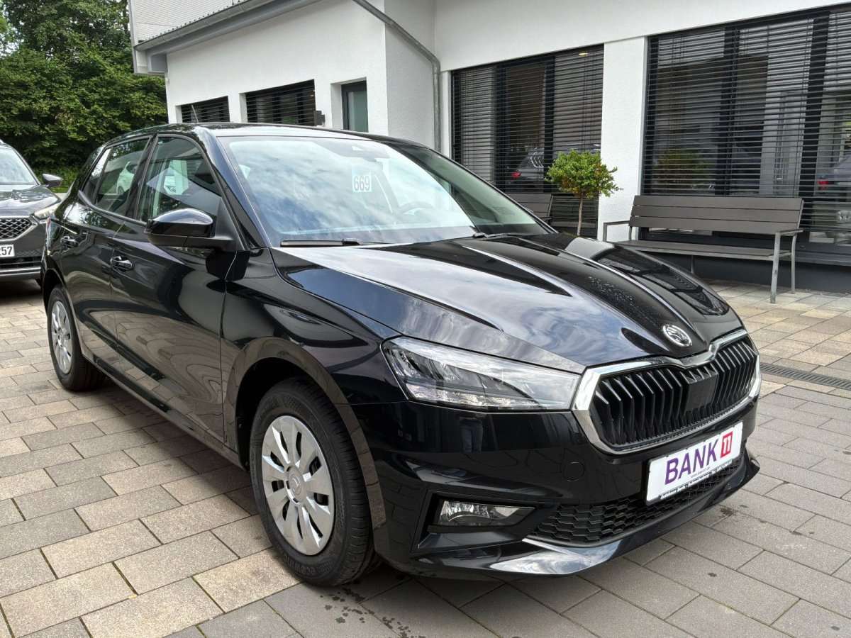 Fahrzeugbild eines Skoda Fabia